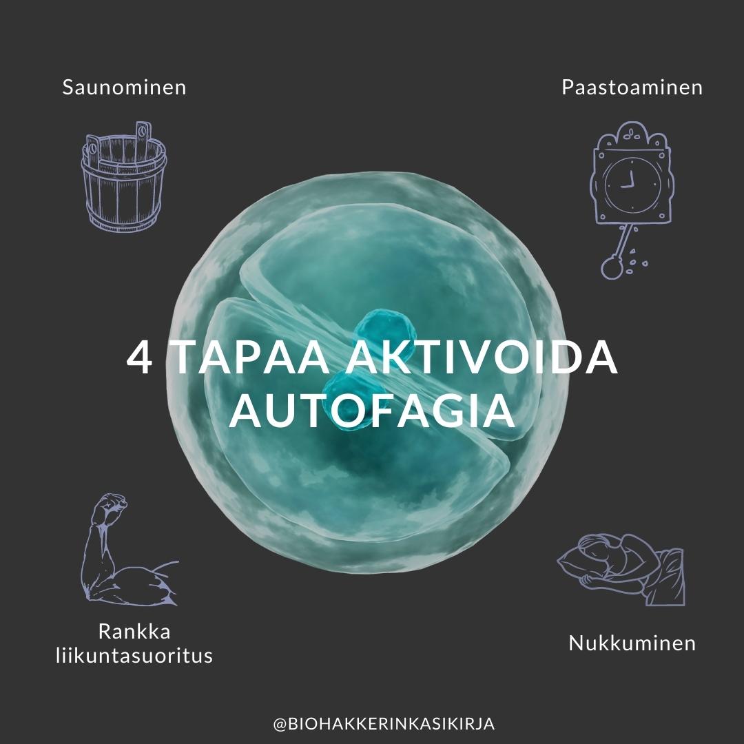 Autofagia – elimistön tärkein puhdistusjärjestelmä