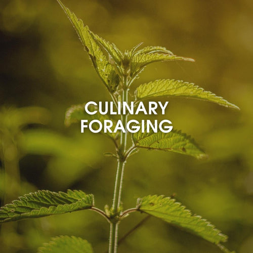 Culinary Foraging -verkkovalmennus (englanniksi)