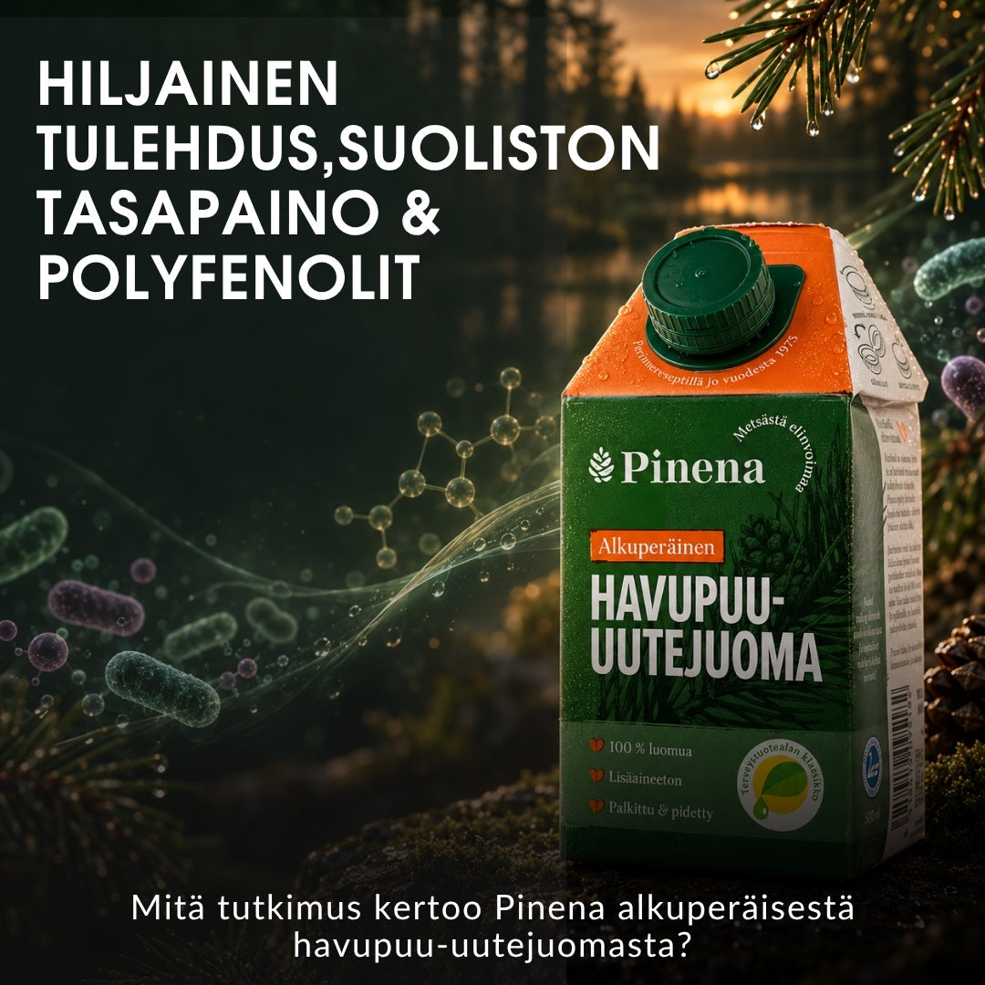 Hiljainen tulehdus, suoliston tasapaino ja polyfenolit: mitä tutkimus kertoo Pinena alkuperäisestä havupuu-uutejuomasta?
