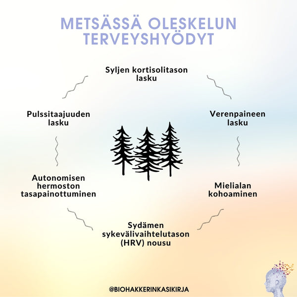 Luonto ja metsä stressin lievityksen keskiössä