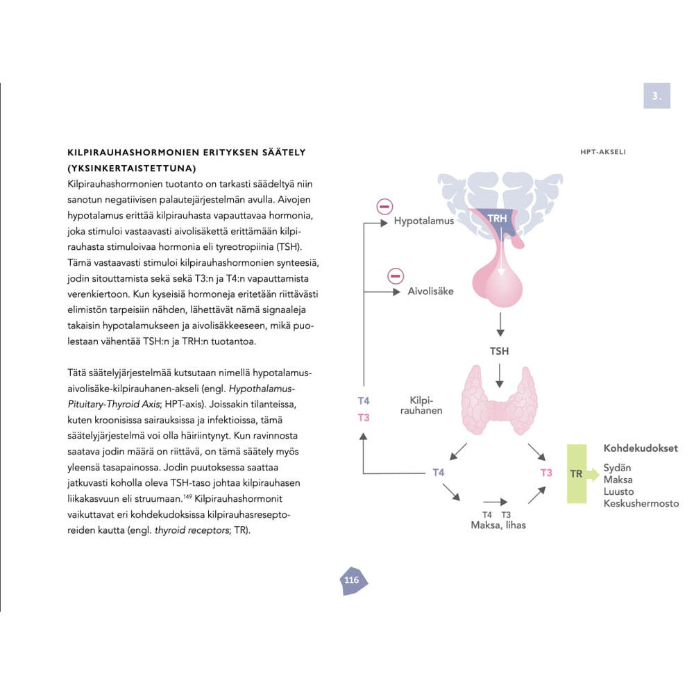 Biohakkerin ravitsemusopas – Päivitä ravinteiden saanti optimitasolle (e-kirja)