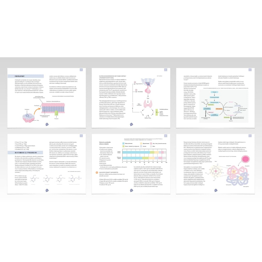 Biohakkerin ravitsemusopas – Päivitä ravinteiden saanti optimitasolle (e-kirja)