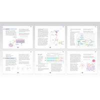 Biohakkerin ravitsemusopas – Päivitä ravinteiden saanti optimitasolle (e-kirja)