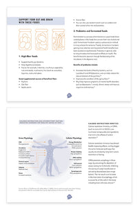 Biohacker's Brain Nutrition Guide (e-book)