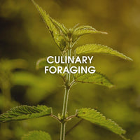 Culinary Foraging -verkkovalmennus villiyrttikokki Sami Tallbergin kanssa
